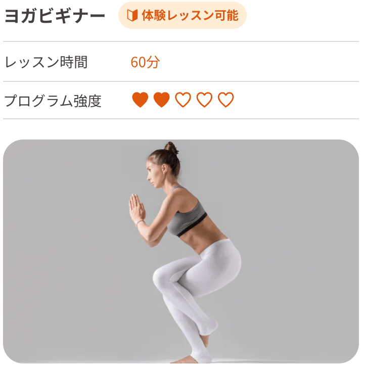 LAVAヨガビギナー画像